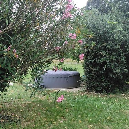 Chez Chapelle In The Heart Of The Gascony With Pool And Hot Tub Apartment Auch Ngoại thất bức ảnh