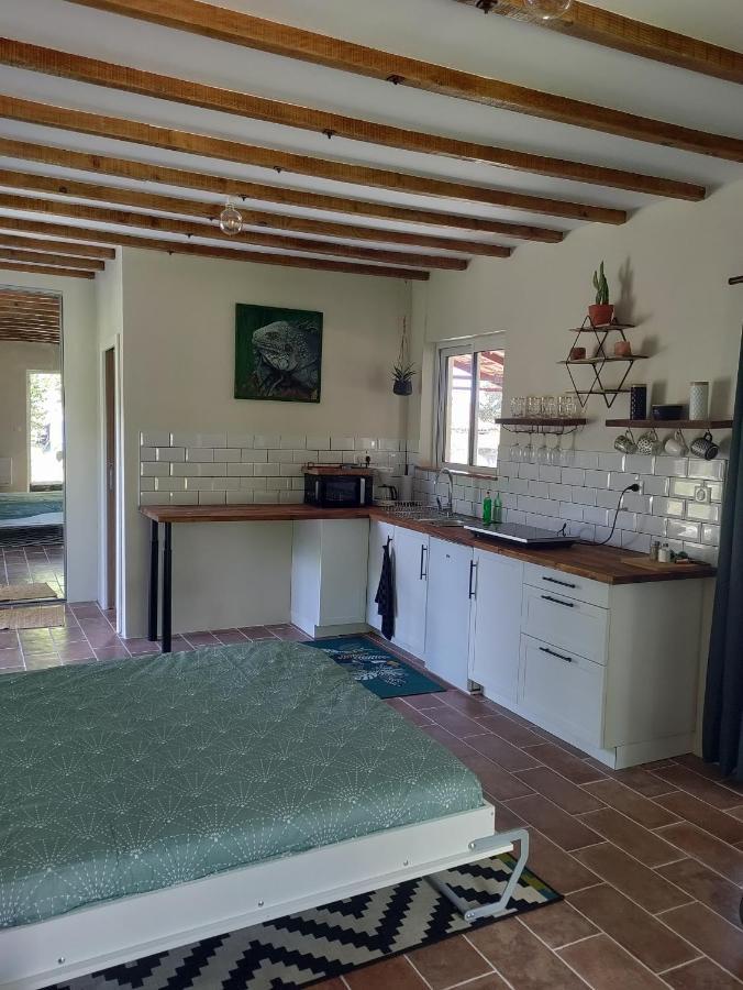 Chez Chapelle In The Heart Of The Gascony With Pool And Hot Tub Apartment Auch Ngoại thất bức ảnh
