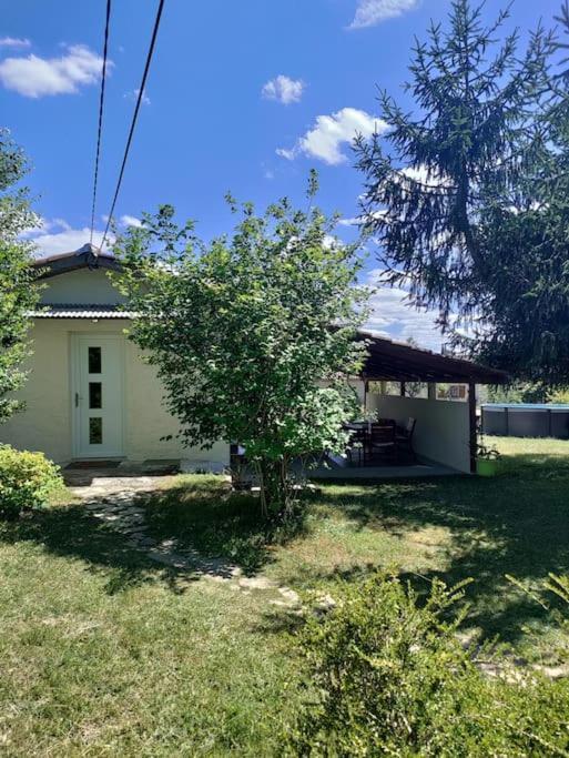 Chez Chapelle In The Heart Of The Gascony With Pool And Hot Tub Apartment Auch Ngoại thất bức ảnh