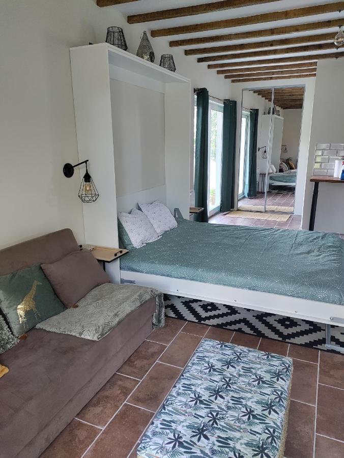 Chez Chapelle In The Heart Of The Gascony With Pool And Hot Tub Apartment Auch Ngoại thất bức ảnh