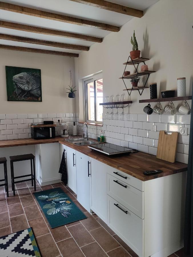 Chez Chapelle In The Heart Of The Gascony With Pool And Hot Tub Apartment Auch Ngoại thất bức ảnh